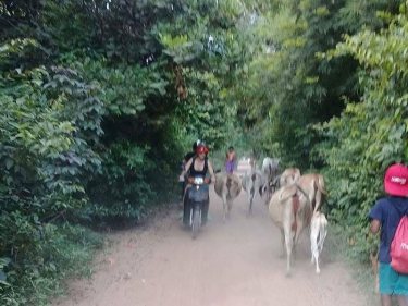 Cambodia Motorbike Adventure