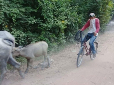 Cambodia Motorbike Adventure