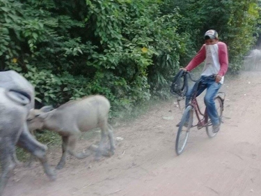 Cambodia Motorbike Adventure