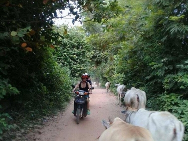 Cambodia Motorbike Adventure