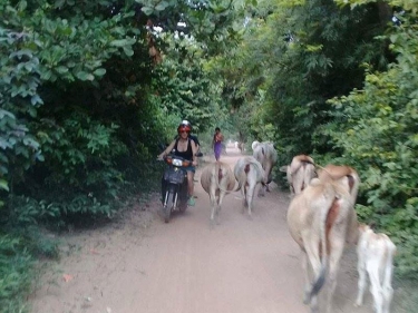 Cambodia Motorbike Adventure