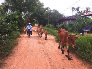 Cambodia Motorbike Adventure