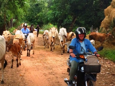 Cambodia Motorbike Adventure